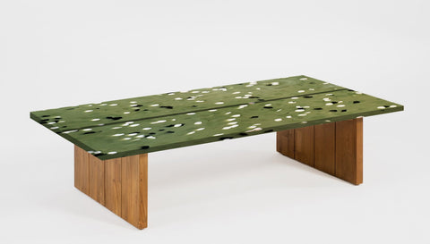 reddie-raw outdoor coffee table ( 60W x 120D x  35H) *cm / Recycled Plastic~Avocado / Solid Reclaimed Teak Wood~Natural Bob Recycled Plastic Coffee Table